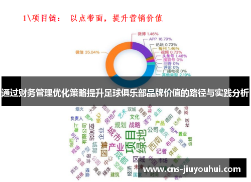 通过财务管理优化策略提升足球俱乐部品牌价值的路径与实践分析
